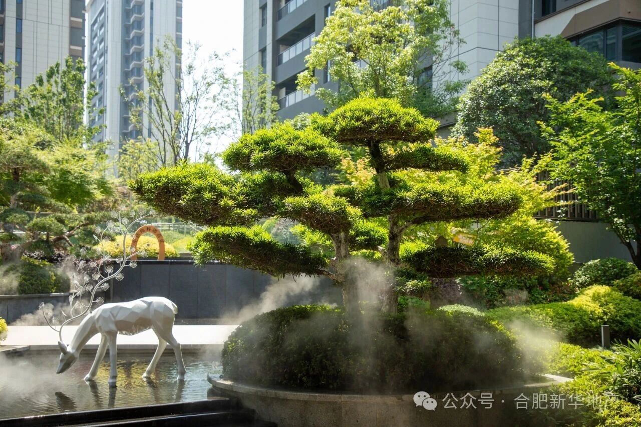 微信图片_2026-06-07_223223_385.jpg